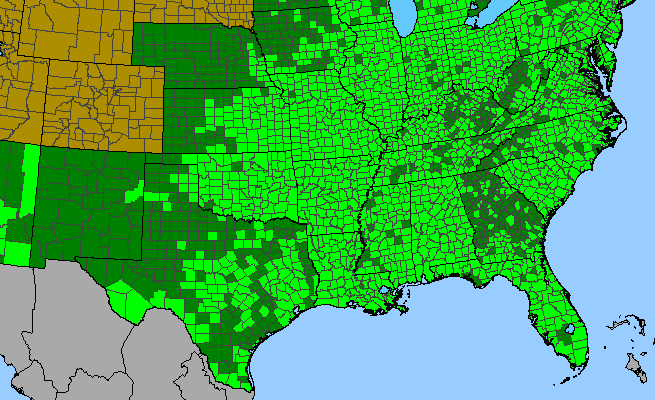 The range of Cephalanthus occidentalis
